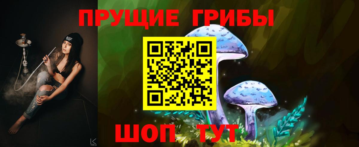 Галлюциногенные грибы Psilocybine cubensis  Вход с VPN  Златоуст 